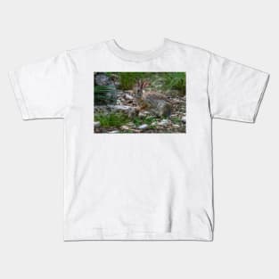 Cottontail Rabbit Hopping Along the Trail Kids T-Shirt